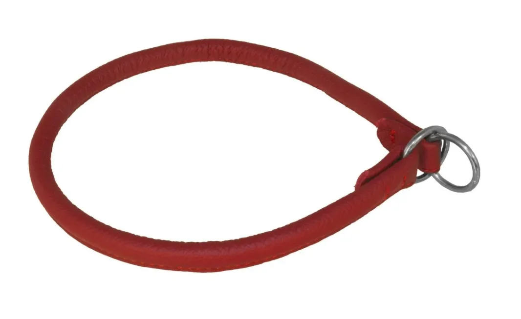 Dogline Soft Leather Rolled Slip Collars