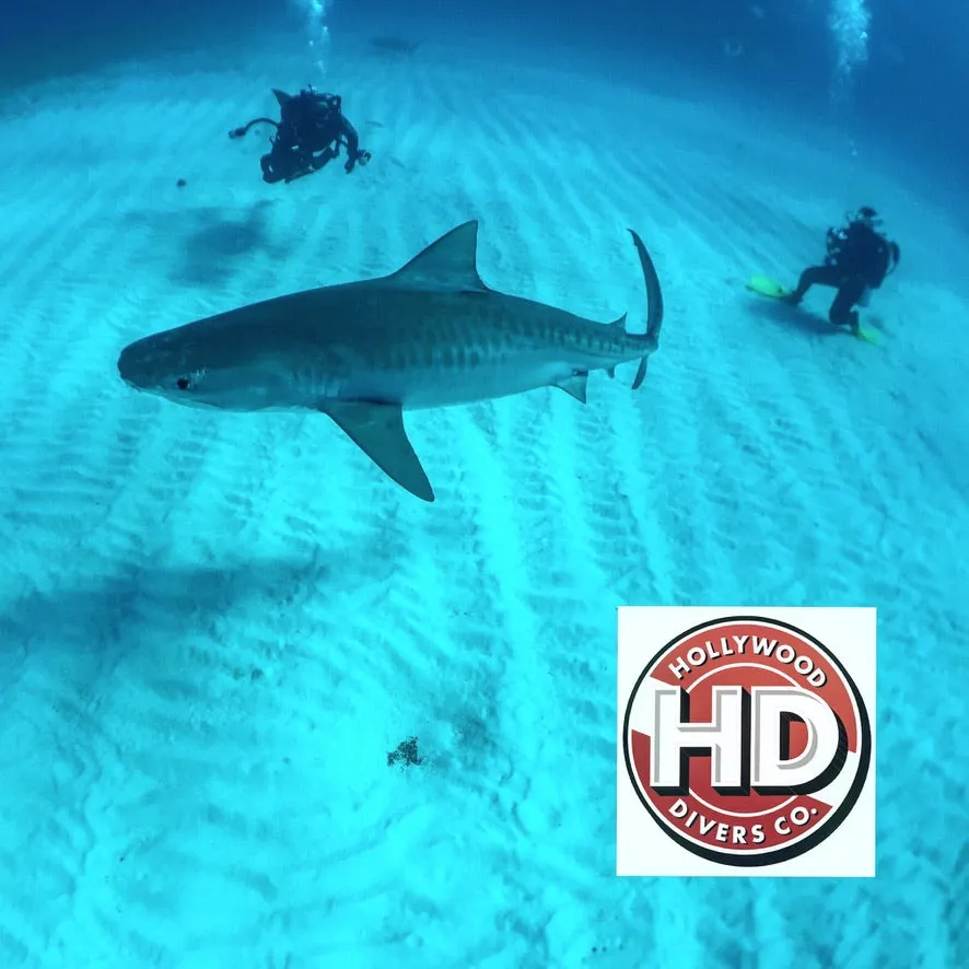 Hollywood Divers Electronic Gift Card