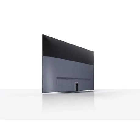 Loewe WESEE55SG 55 Inch LCD Smart TV